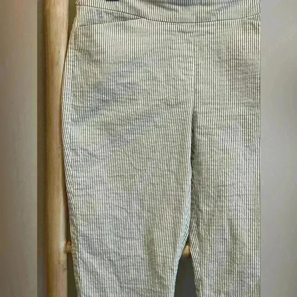 ✨Hilary Radley Women's Seersucker Pull-On Ankle Pants medium Blue Stripe Stretch - Picture 4 of 10